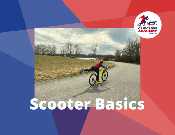 Scooter Basics