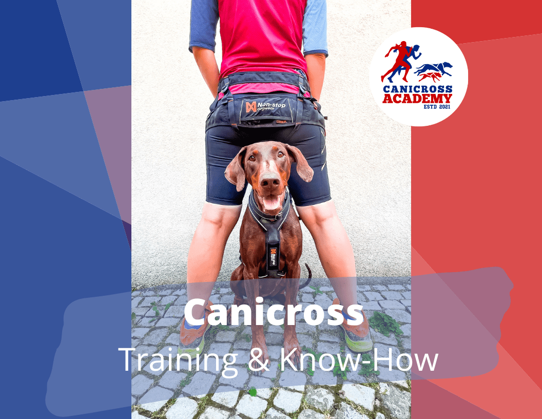 Canicross – Training & Know-How