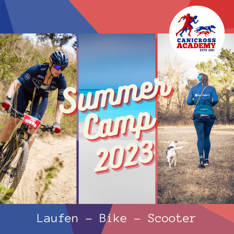 Summer Camp