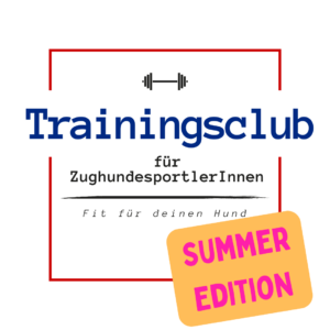 Trainingsclub - Summer Edition